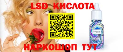 твердый Камышлов