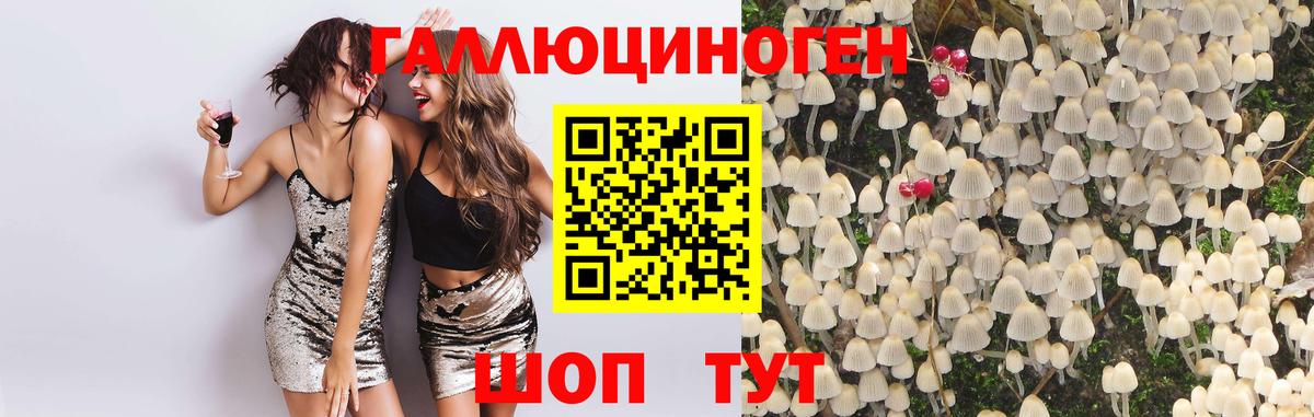 Галлюциногенные грибы MAGIC MUSHROOMS  Вход с VPN  Казань  Галлюциногенные грибы ЛСД 