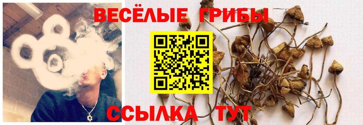 Галлюциногенные грибы Magic Shrooms Казань
